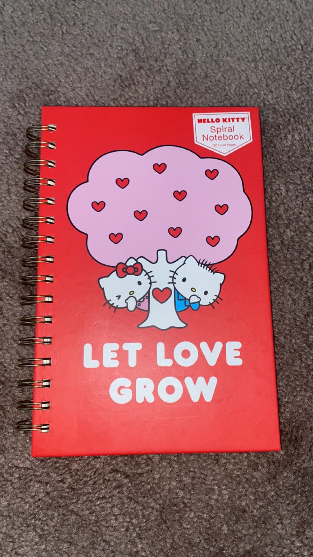 Hello Kitty Journal