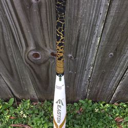 Easton Ghost X BBCOR (-3) Baseball Bat 31/28 