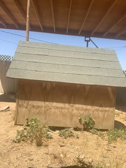 Dog House
