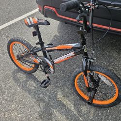 Little Kids Bike