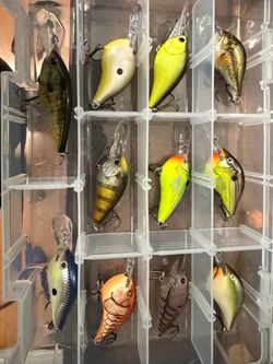 Lot of 11 Crankbait Fishing Lures