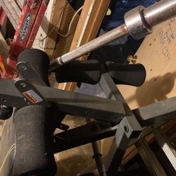 Weight Bench 