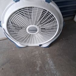 Fan