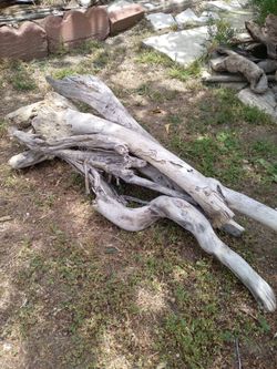 4 pieces natural driftwood