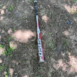 Bat