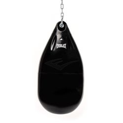 Everlast Hydrostrike 100 lb heavy water bag and heavy bag stand
