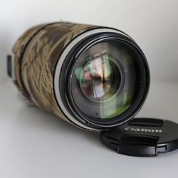 Canon lens - EF 100-400mm f/4.5-5.6L IS || USM