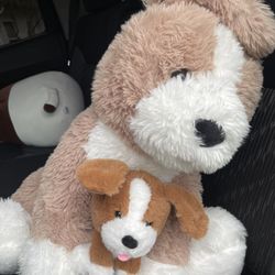 Different Sizes And Prices 