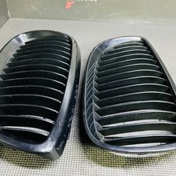 Bmw Kidney Grill