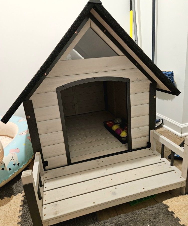 Dog House 