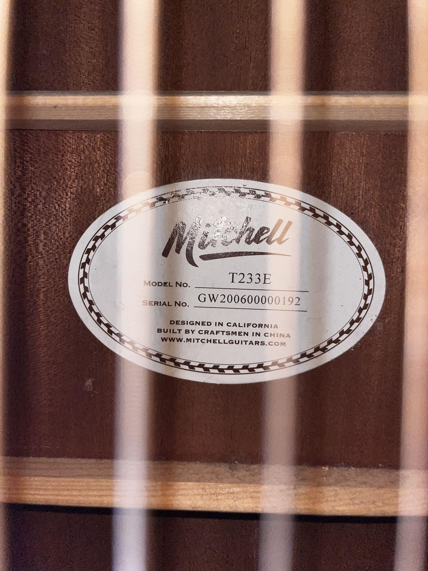 Mitchell Acoustic Guitar Electric