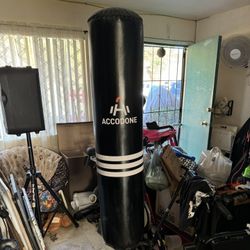 Standing Punching Bag