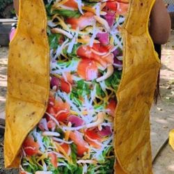 Adult TACO HALLOWEEN COSTUME 