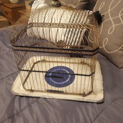 Vintage bird cage