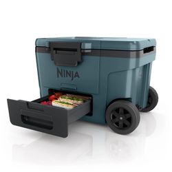 Ninja 45qt Cooler 