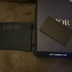 dior b22