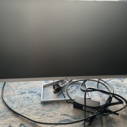 HP Computer Monitor 21