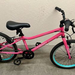 Pink Guardian 20 Inch Large With Gears 