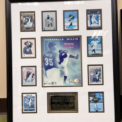 Framed Baseball Cards of Dontrelle Willis