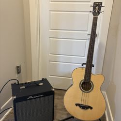  “Jang In” Acoustic Bass And Ampeg RB108 Bass Amp