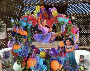 Balloon Arches /Garlands 