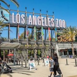 LA ZOO