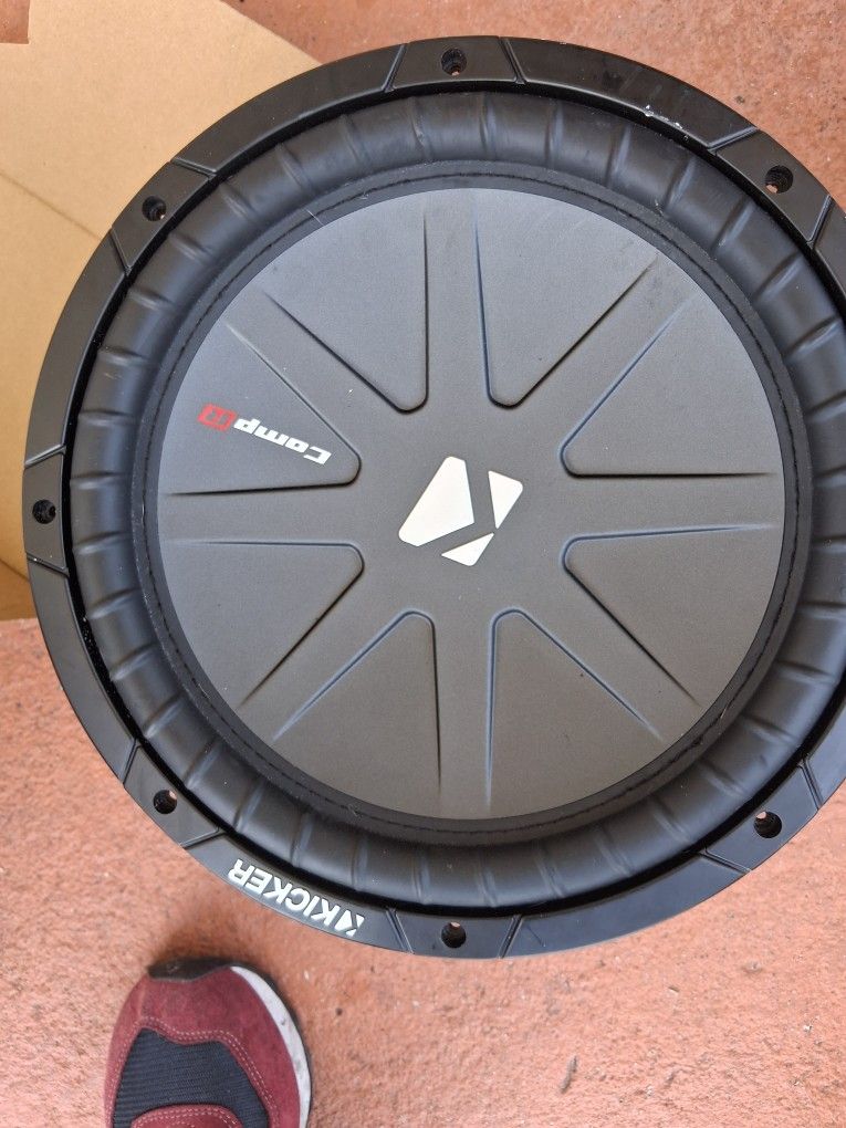 12in Subwoofer