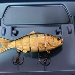 Bass Fishing Lure