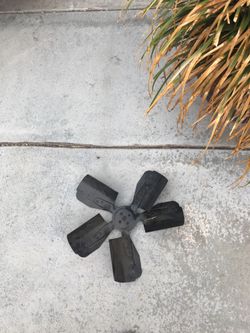 Fan