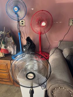 Fans