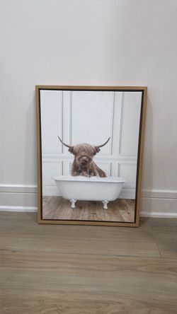 Highland Cow in Bathtub Framed Canvas Print