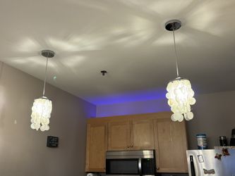 Pendant Seashell Mini Chandelier