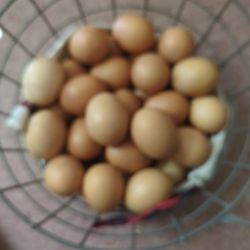 Organic Fresh Eggs
