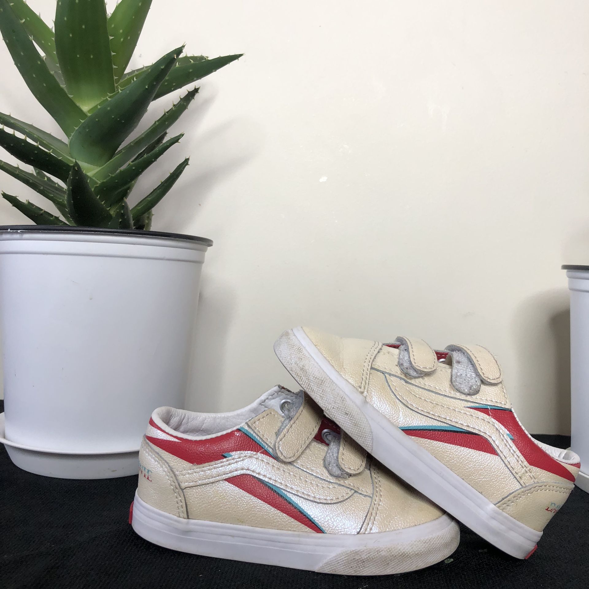 Vans David Bowie