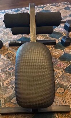 Bio-Dyne Sit up bench and door way pull up bar
