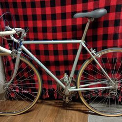 Vintage Raleigh Record 1970's Bike