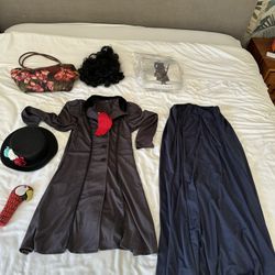 Mary Poppins costume complete with wig and bag!