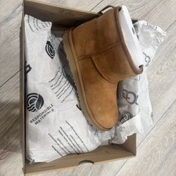 Ugg Chestnut Mini 