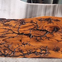 Fractal Wood Burn