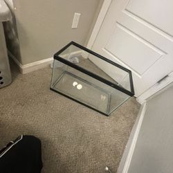 Starter Aquarium For Fish