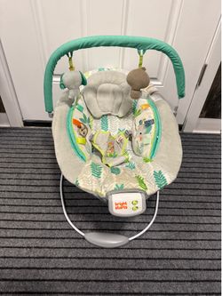 Musical Bouncer & Vibrating Chair