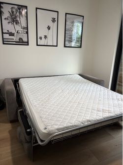 Queen sized sleeper couch
