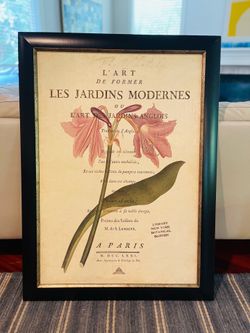 Huge Art 33x48 NY Botanical Audubon Art
