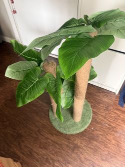 31.5” Banana Tree Cat Scratching Post – Like New