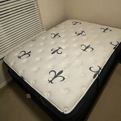 Stern And Foster Queen Mattress 