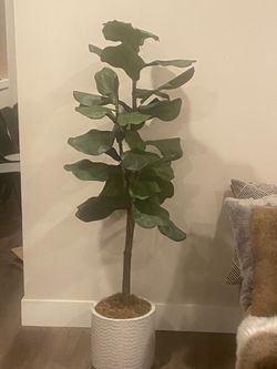 5’ Faux Fiddle Leaf Tree Potted In The Beautiful Textured Ceramic Pot