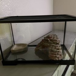 10 Gallon Aquarium Kit