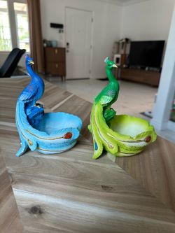 Peacock Succulent Pots