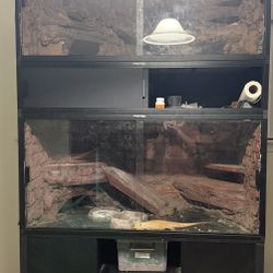 Stand And 2 120 Gallon Tanks 