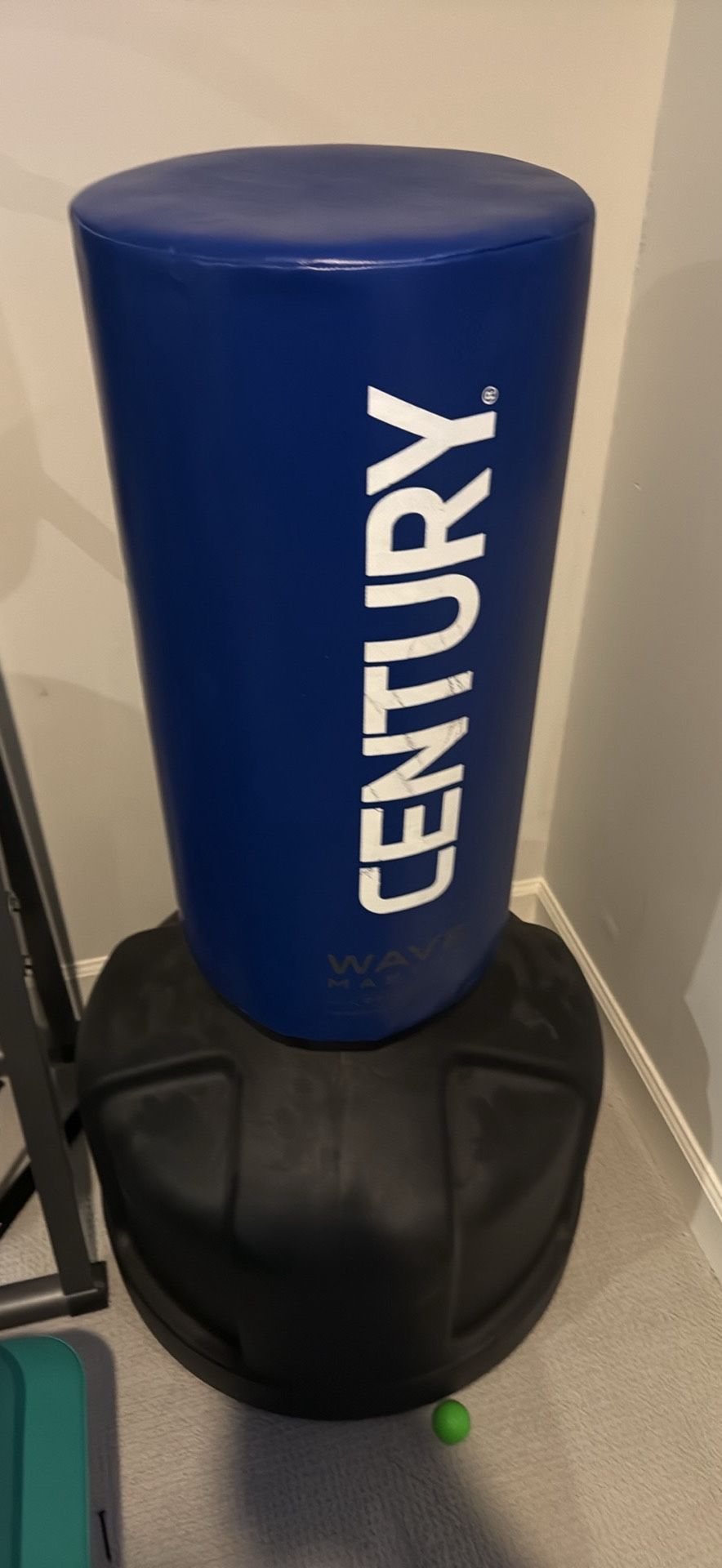 Century Punching Bag